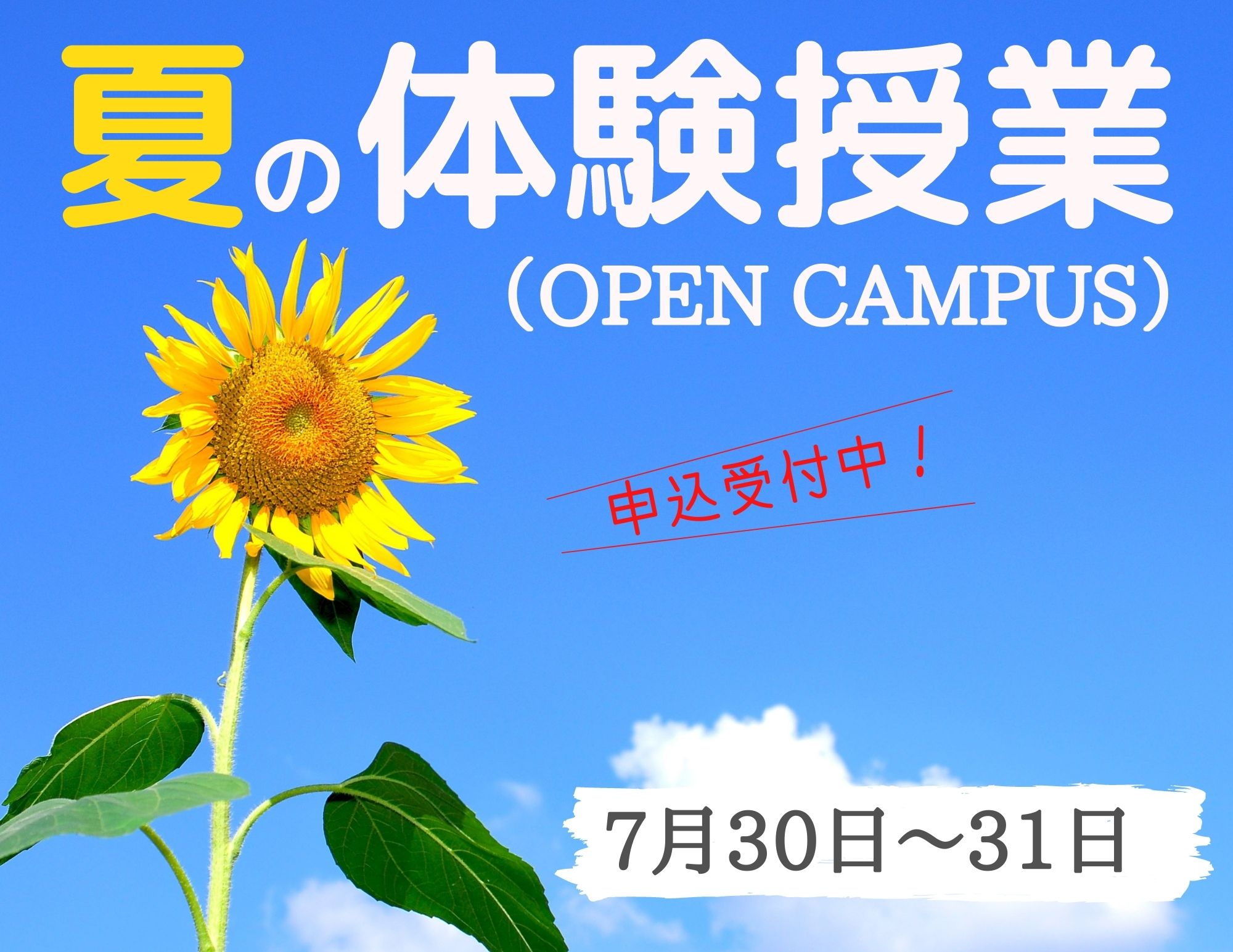 【申込受付中！】夏の体験授業開催！（7/30～31）